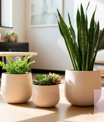 Set of 3 Sculpted Polyresin Planters – Modern, Lightweight Indoor